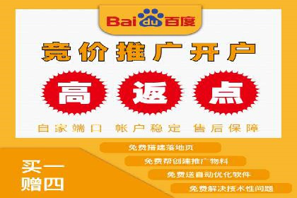 某电商平台的SEM代运营策略解析